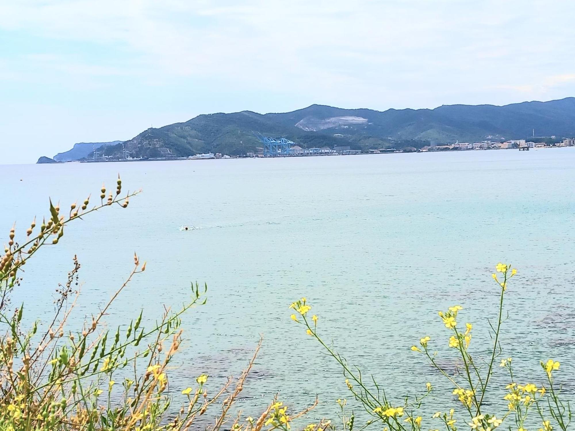 Tramonto Sul Mare - Sea Suite Savona Exterior foto