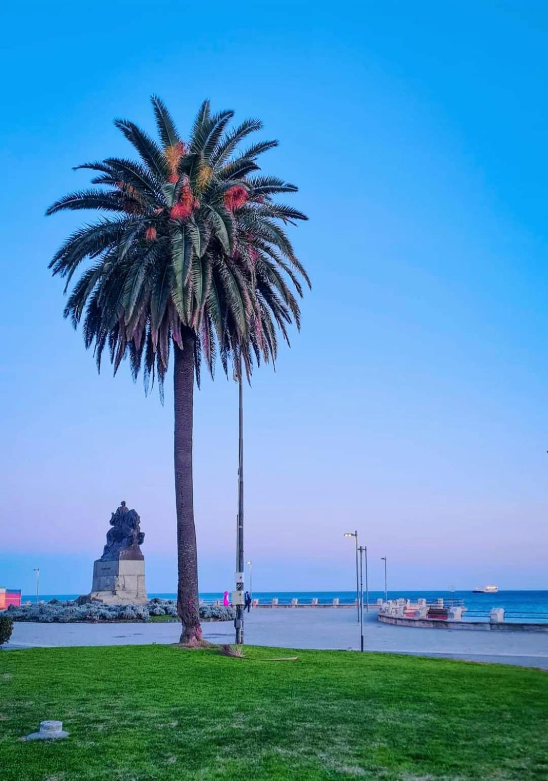 Tramonto Sul Mare - Sea Suite Savona Exterior foto